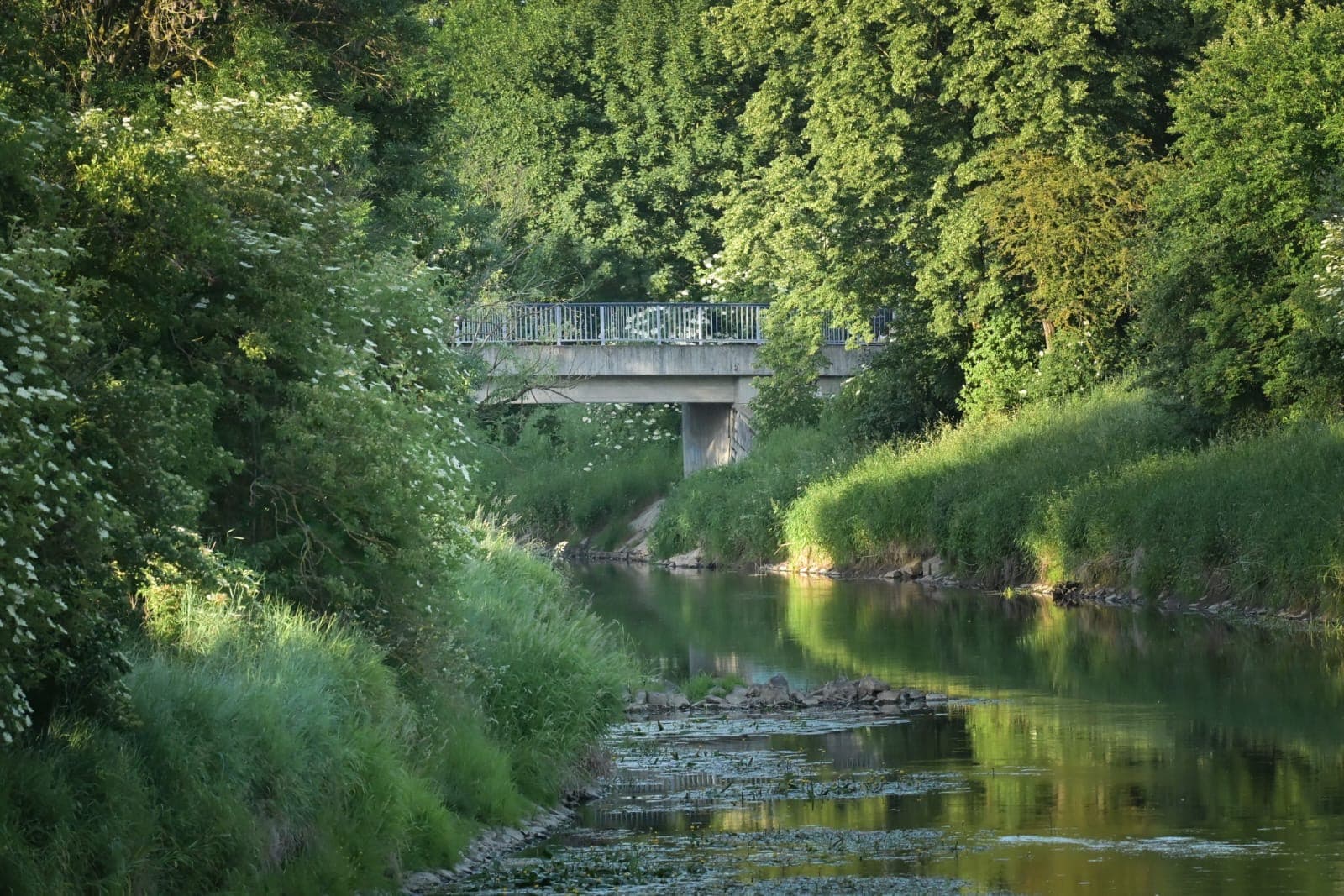 Natur direkt vor der Tür. 1