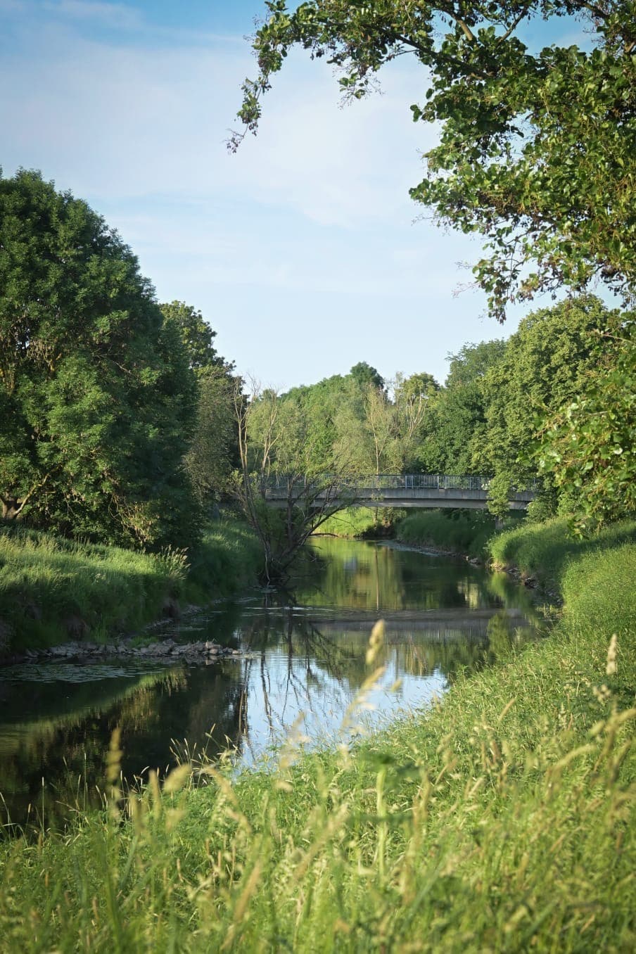 Natur direkt vor der Tür. 8