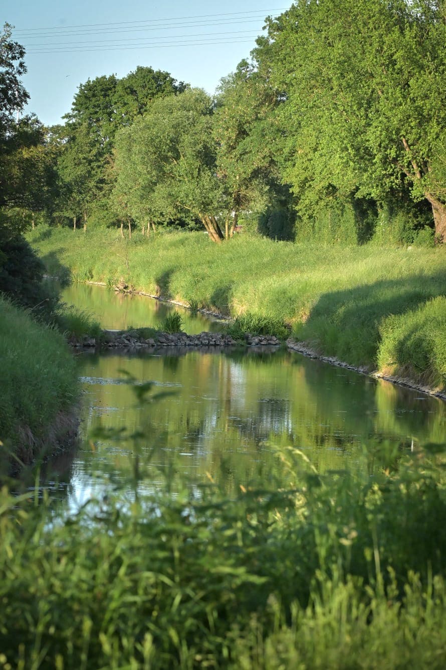 Natur direkt vor der Tür. 5