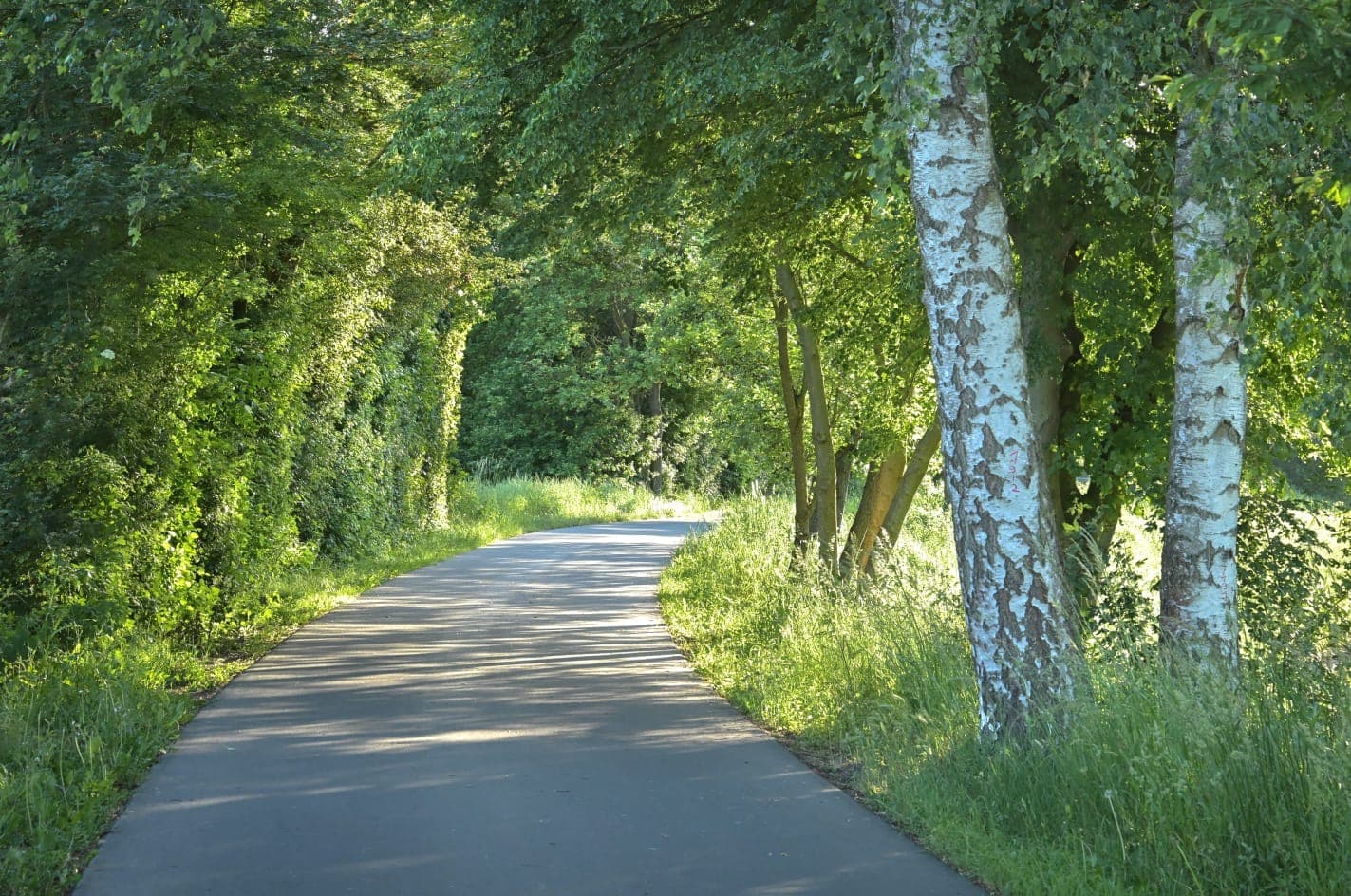 Natur direkt vor der Tür. 2
