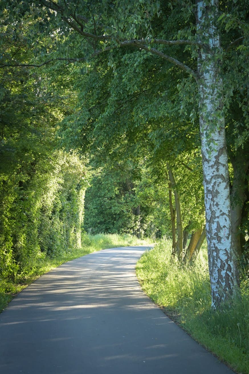 Natur direkt vor der Tür. 7