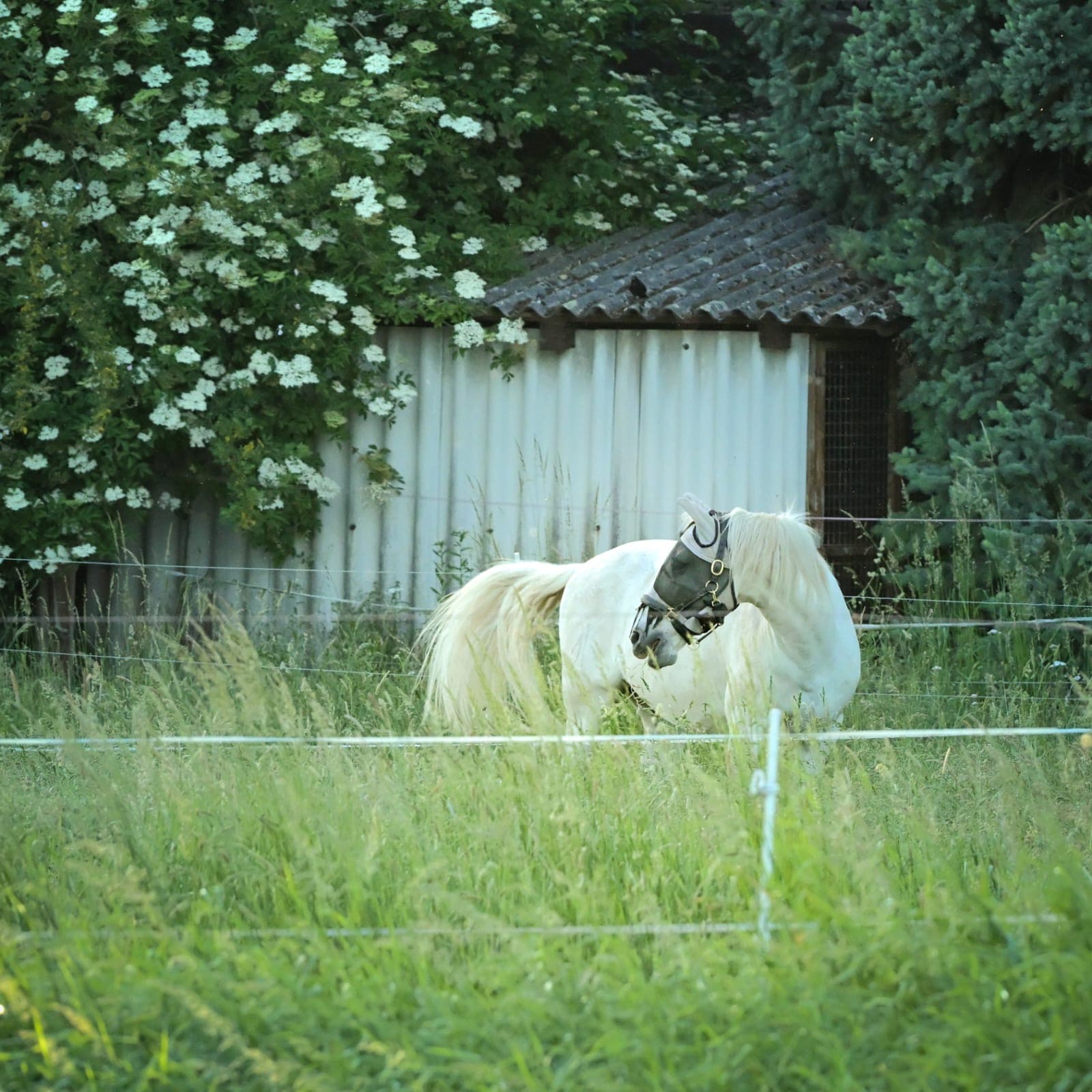 Natur direkt vor der Tür. 6